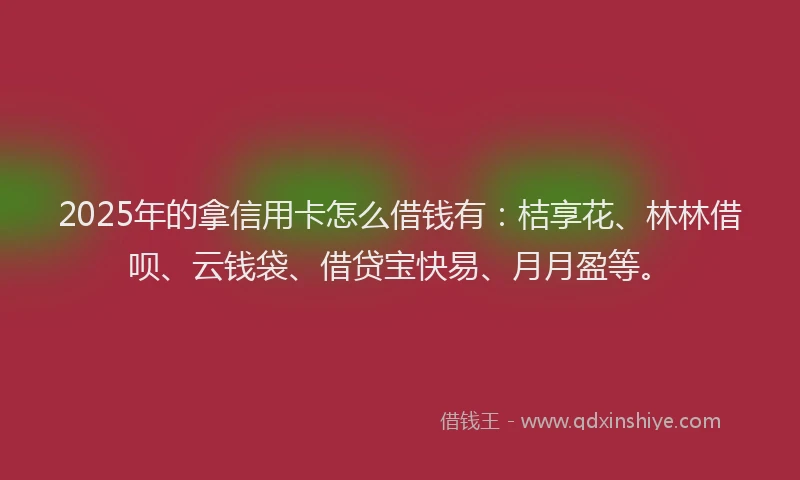 2025年的拿信用卡怎么借钱有：桔享花、林林借呗、云钱袋、借贷宝快易、月月盈等。