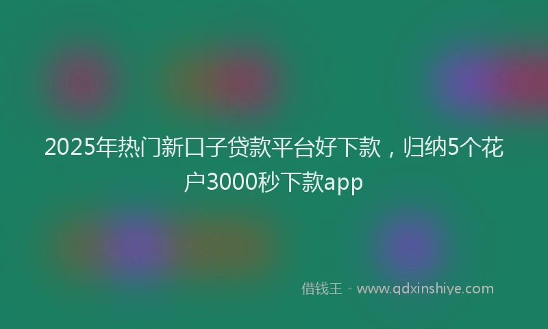 2025年热门新口子贷款平台好下款，归纳5个花户3000秒下款app