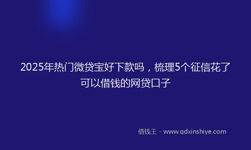 2025年热门微贷宝好下款吗，梳理5个征信花了可以借钱的网贷口子