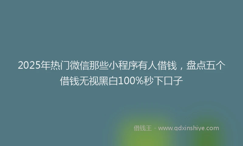 2025年热门微信那些小程序有人借钱，盘点五个借钱无视黑白100%秒下口子