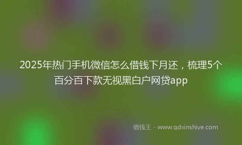 2025年热门手机微信怎么借钱下月还，梳理5个百分百下款无视黑白户网贷app