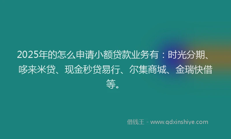 2025年的怎么申请小额贷款业务有：时光分期、哆来米贷、现金秒贷易行、尔集商城、金瑞快借等。
