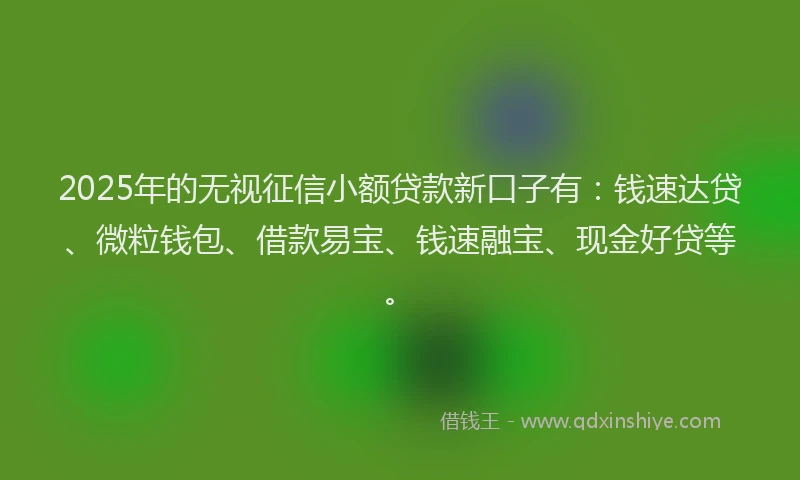 2025年的无视征信小额贷款新口子有：钱速达贷、微粒钱包、借款易宝、钱速融宝、现金好贷等。