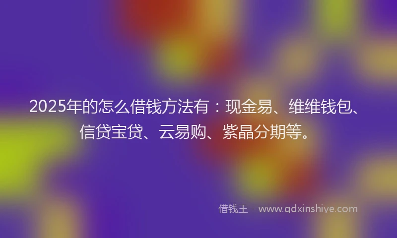 2025年的怎么借钱方法有：现金易、维维钱包、信贷宝贷、云易购、紫晶分期等。