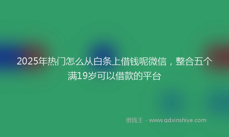 2025年热门怎么从白条上借钱呢微信，整合五个满19岁可以借款的平台