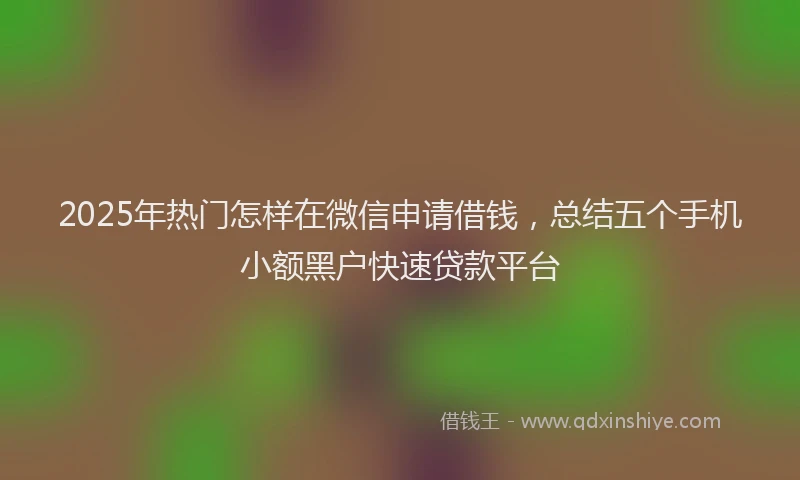 2025年热门怎样在微信申请借钱，总结五个手机小额黑户快速贷款平台