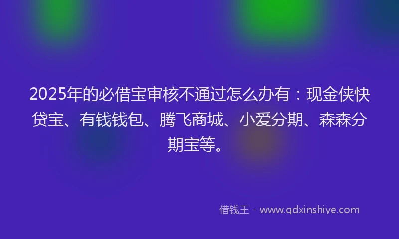2025年的必借宝审核不通过怎么办有：现金侠快贷宝、有钱钱包、腾飞商城、小爱分期、森森分期宝等。