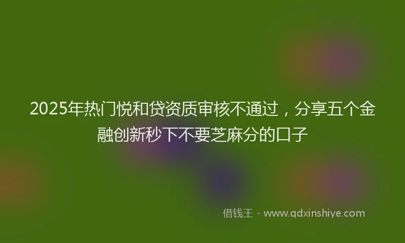 2025年热门悦和贷资质审核不通过，分享五个金融创新秒下不要芝麻分的口子
