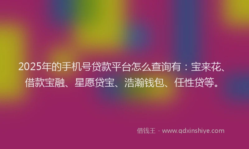 2025年的手机号贷款平台怎么查询有：宝来花、借款宝融、星愿贷宝、浩瀚钱包、任性贷等。