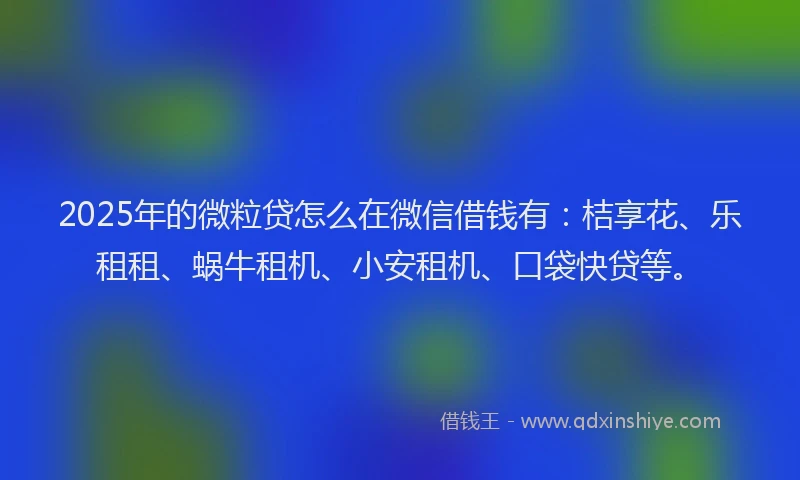 2025年的微粒贷怎么在微信借钱有：桔享花、乐租租、蜗牛租机、小安租机、口袋快贷等。