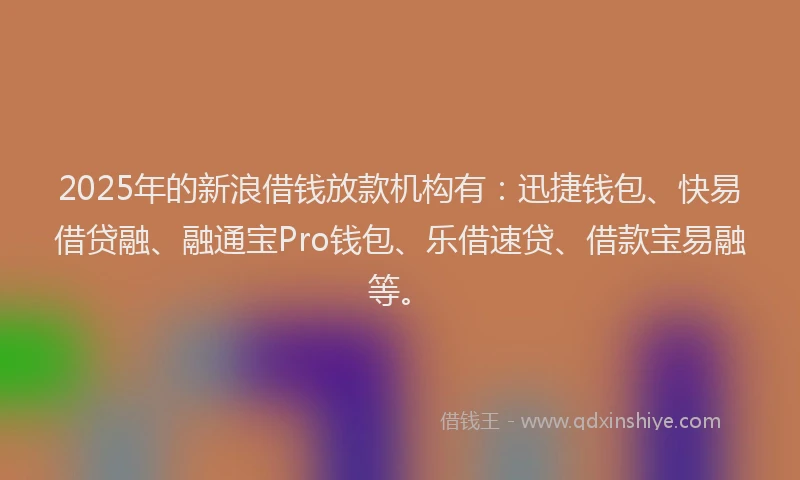 2025年的新浪借钱放款机构有：迅捷钱包、快易借贷融、融通宝Pro钱包、乐借速贷、借款宝易融等。