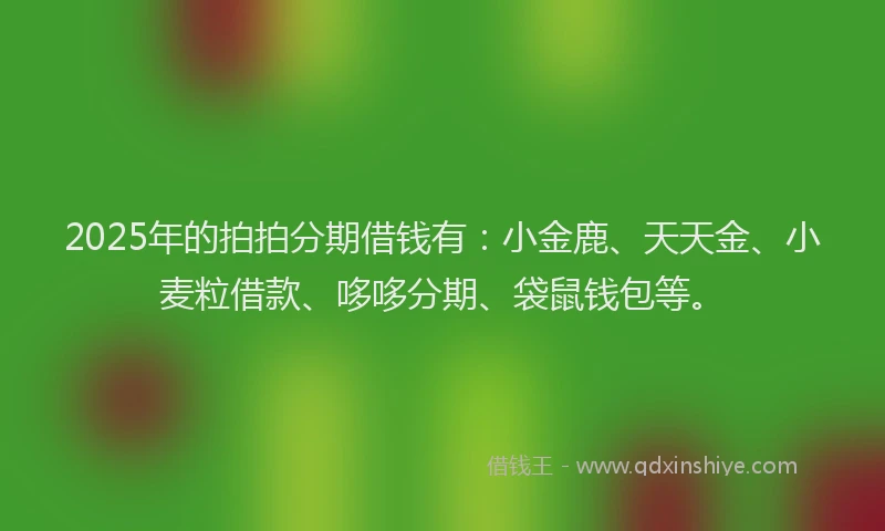 2025年的拍拍分期借钱有：小金鹿、天天金、小麦粒借款、哆哆分期、袋鼠钱包等。