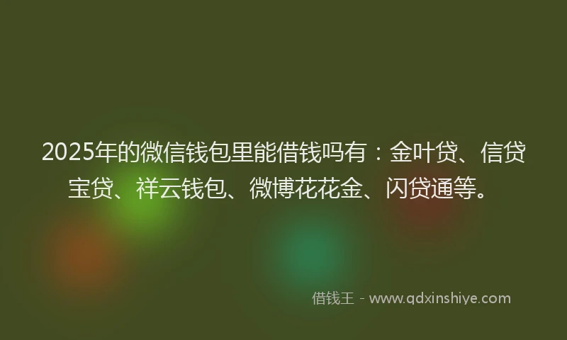 2025年的微信钱包里能借钱吗有：金叶贷、信贷宝贷、祥云钱包、微博花花金、闪贷通等。