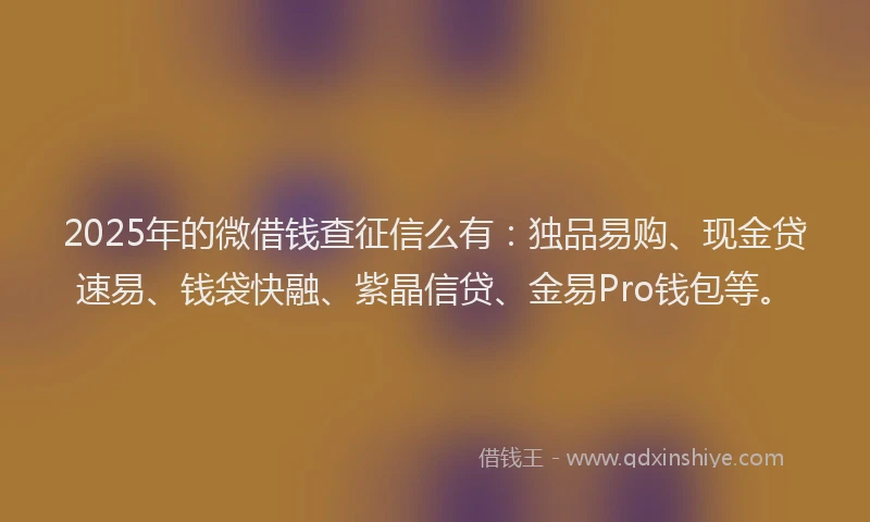 2025年的微借钱查征信么有：独品易购、现金贷速易、钱袋快融、紫晶信贷、金易Pro钱包等。