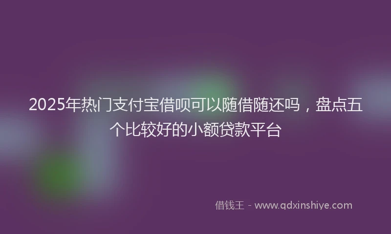 2025年热门支付宝借呗可以随借随还吗，盘点五个比较好的小额贷款平台