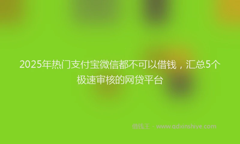 2025年热门支付宝微信都不可以借钱，汇总5个极速审核的网贷平台