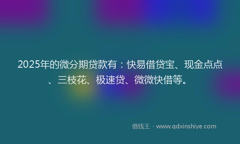 2025年的微分期贷款有：快易借贷宝、现金点点、三枝花、极速贷、微微快借等。
