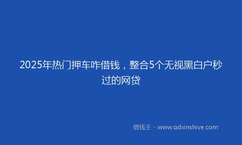 2025年热门押车咋借钱，整合5个无视黑白户秒过的网贷