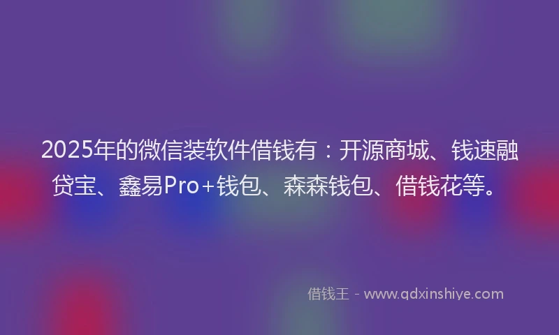 2025年的微信装软件借钱有：开源商城、钱速融贷宝、鑫易Pro+钱包、森森钱包、借钱花等。