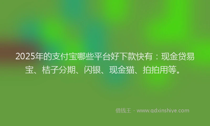 2025年的支付宝哪些平台好下款快有：现金贷易宝、桔子分期、闪银、现金猫、拍拍用等。