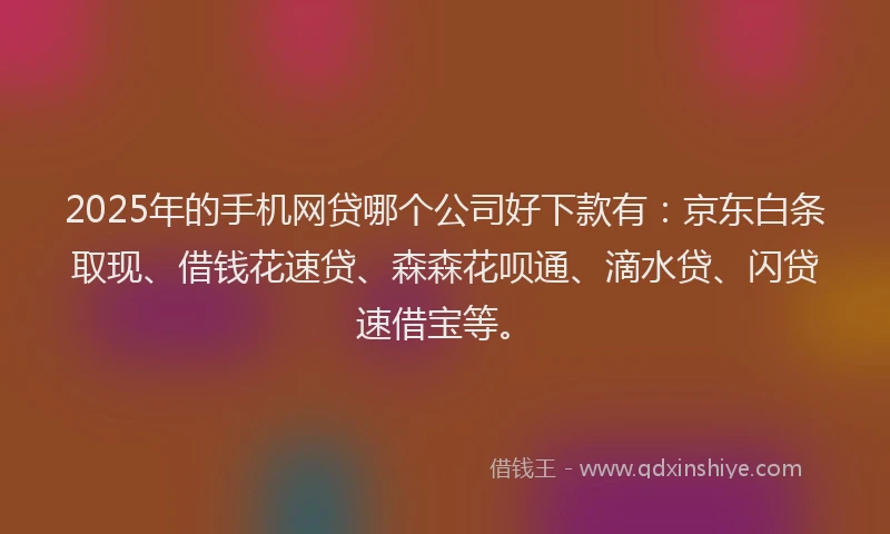 2025年的手机网贷哪个公司好下款有：京东白条取现、借钱花速贷、森森花呗通、滴水贷、闪贷速借宝等。