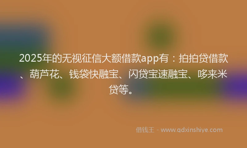 2025年的无视征信大额借款app有：拍拍贷借款、葫芦花、钱袋快融宝、闪贷宝速融宝、哆来米贷等。