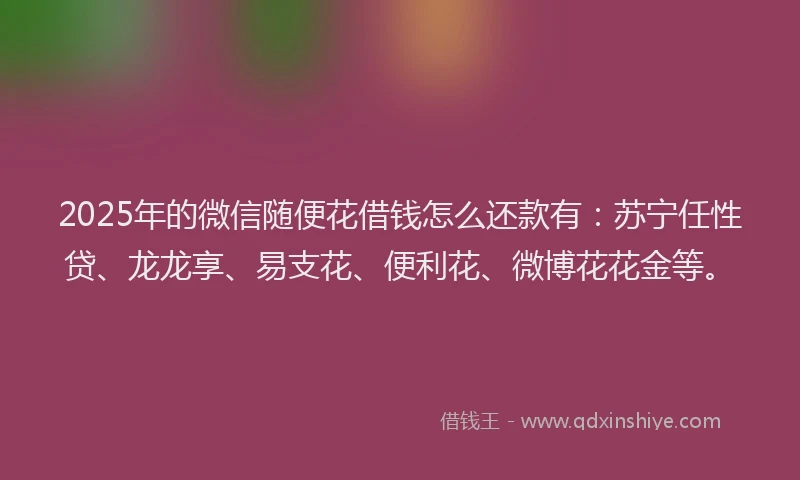 2025年的微信随便花借钱怎么还款有：苏宁任性贷、龙龙享、易支花、便利花、微博花花金等。
