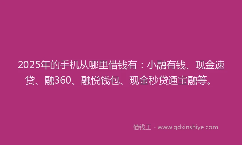 2025年的手机从哪里借钱有：小融有钱、现金速贷、融360、融悦钱包、现金秒贷通宝融等。