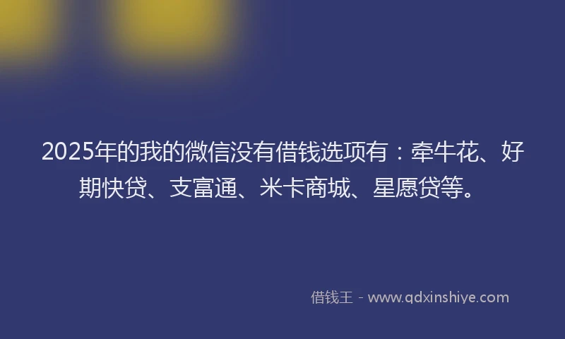 2025年的我的微信没有借钱选项有：牵牛花、好期快贷、支富通、米卡商城、星愿贷等。