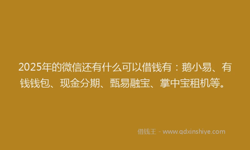 2025年的微信还有什么可以借钱有：鹅小易、有钱钱包、现金分期、甄易融宝、掌中宝租机等。