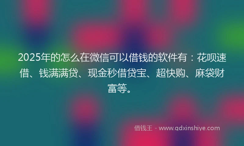 2025年的怎么在微信可以借钱的软件有：花呗速借、钱满满贷、现金秒借贷宝、超快购、麻袋财富等。
