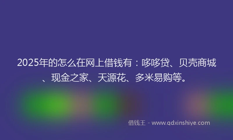 2025年的怎么在网上借钱有：哆哆贷、贝壳商城、现金之家、天源花、多米易购等。