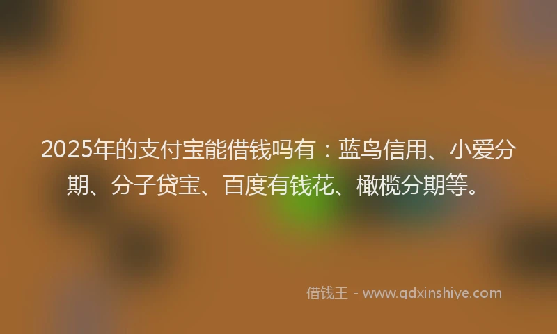 2025年的支付宝能借钱吗有：蓝鸟信用、小爱分期、分子贷宝、百度有钱花、橄榄分期等。