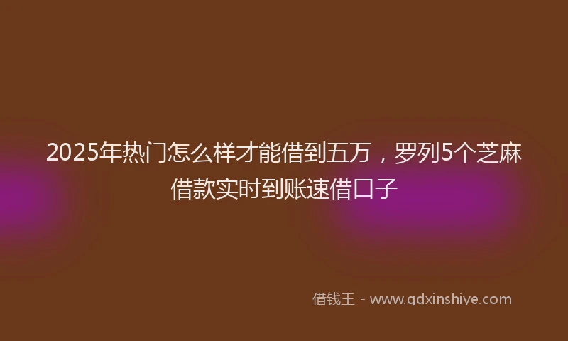 2025年热门怎么样才能借到五万，罗列5个芝麻借款实时到账速借口子