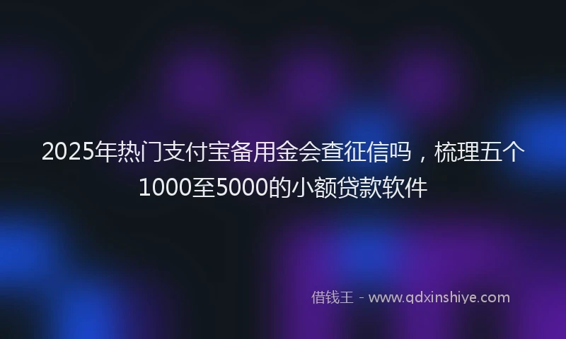 2025年热门支付宝备用金会查征信吗，梳理五个1000至5000的小额贷款软件
