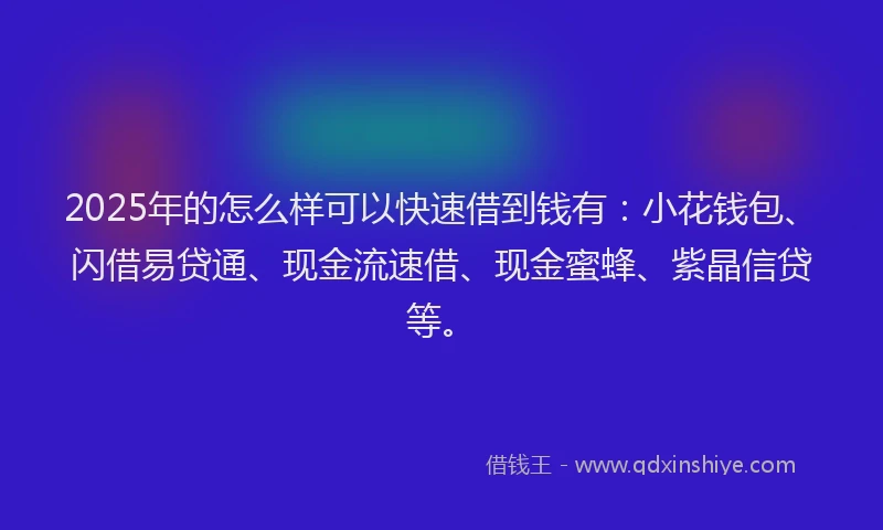 2025年的怎么样可以快速借到钱有：小花钱包、闪借易贷通、现金流速借、现金蜜蜂、紫晶信贷等。