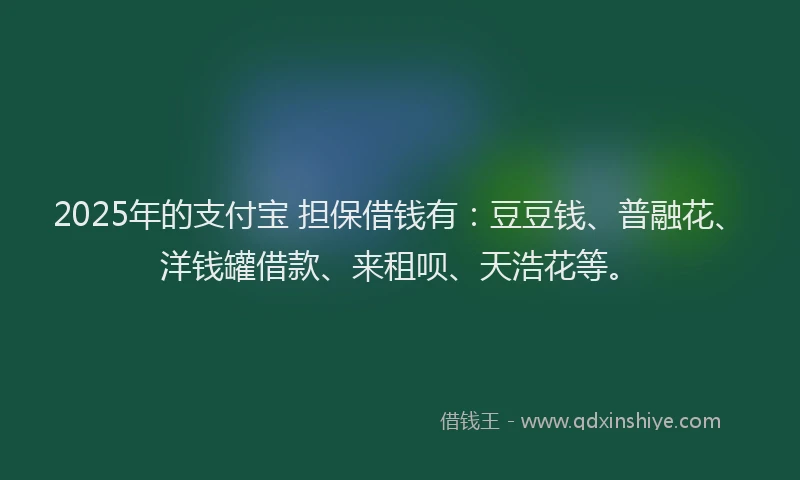 2025年的支付宝 担保借钱有：豆豆钱、普融花、洋钱罐借款、来租呗、天浩花等。