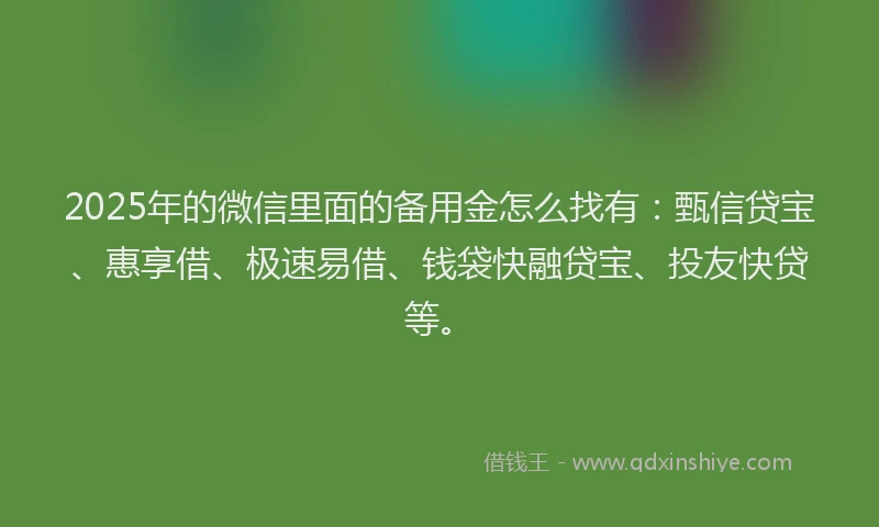 2025年的微信里面的备用金怎么找有：甄信贷宝、惠享借、极速易借、钱袋快融贷宝、投友快贷等。