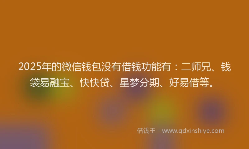 2025年的微信钱包没有借钱功能有：二师兄、钱袋易融宝、快快贷、星梦分期、好易借等。
