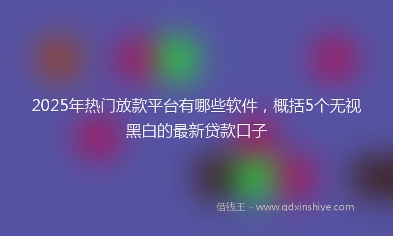 2025年热门放款平台有哪些软件，概括5个无视黑白的最新贷款口子