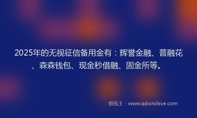 2025年的无视征信备用金有：辉誉金融、普融花、森森钱包、现金秒借融、固金所等。