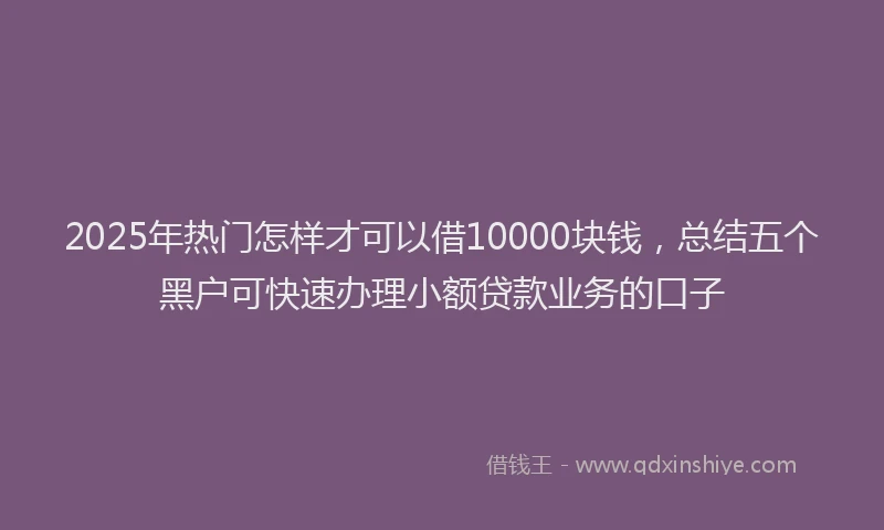2025年热门怎样才可以借10000块钱，总结五个黑户可快速办理小额贷款业务的口子