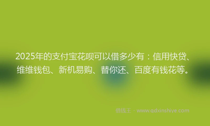 2025年的支付宝花呗可以借多少有：信用快贷、维维钱包、新机易购、替你还、百度有钱花等。