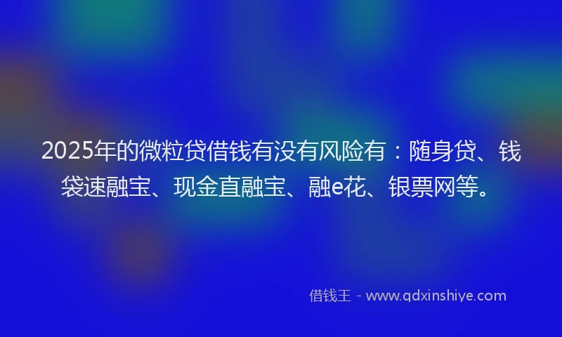 2025年的微粒贷借钱有没有风险有：随身贷、钱袋速融宝、现金直融宝、融e花、银票网等。