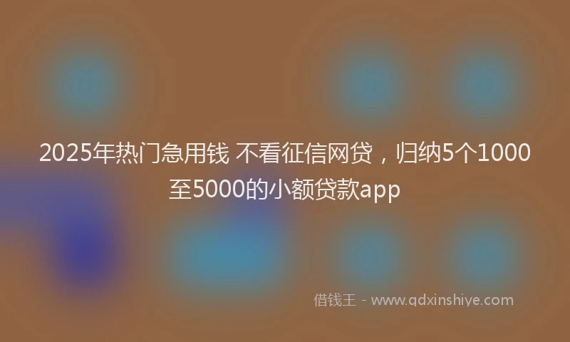 2025年热门急用钱 不看征信网贷，归纳5个1000至5000的小额贷款app