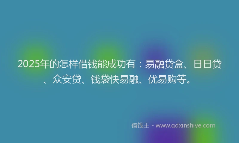 2025年的怎样借钱能成功有：易融贷盒、日日贷、众安贷、钱袋快易融、优易购等。