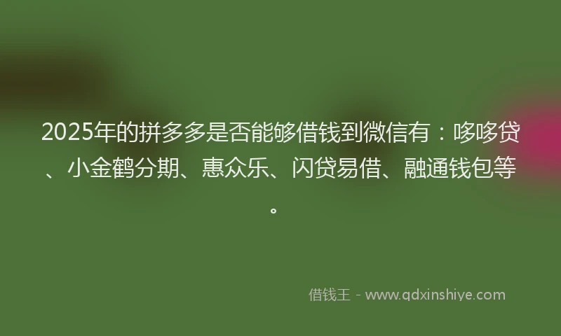 2025年的拼多多是否能够借钱到微信有：哆哆贷、小金鹤分期、惠众乐、闪贷易借、融通钱包等。