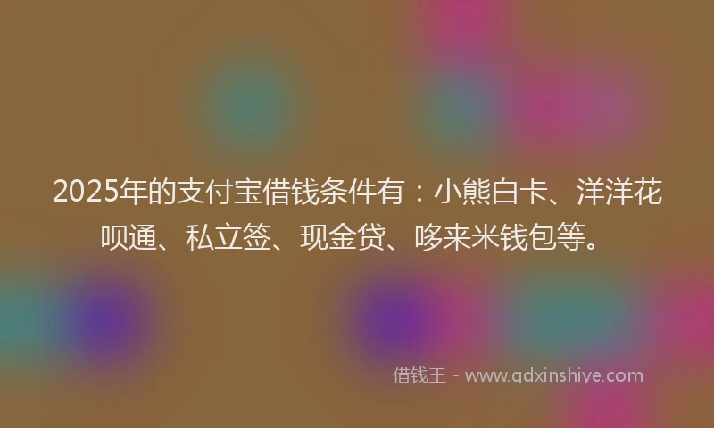 2025年的支付宝借钱条件有：小熊白卡、洋洋花呗通、私立签、现金贷、哆来米钱包等。