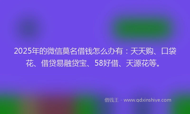 2025年的微信莫名借钱怎么办有：天天购、口袋花、借贷易融贷宝、58好借、天源花等。