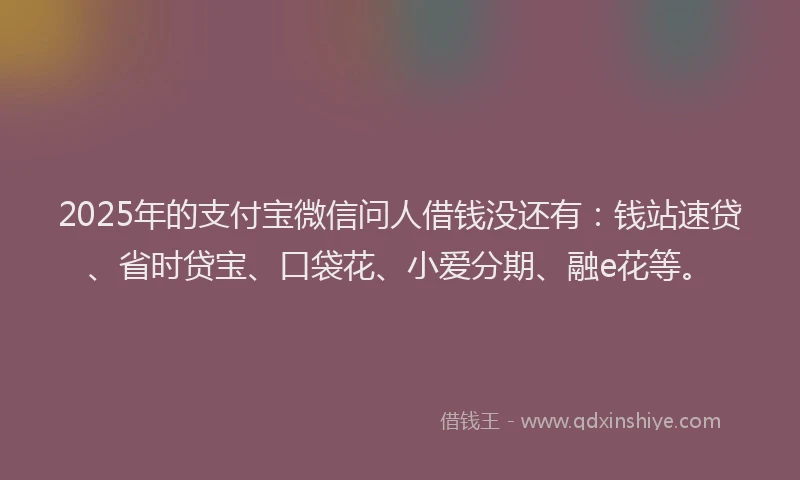 2025年的支付宝微信问人借钱没还有：钱站速贷、省时贷宝、口袋花、小爱分期、融e花等。